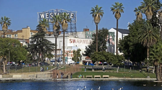 A landscape view of MacArthur Park lake. "Swap Meet" and "Westlake Theater"sign in the distance. Swans on the lake.